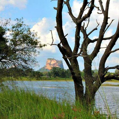 Rho Sigiriya Lake Edge Retreat Kibissa Zewnętrze zdjęcie