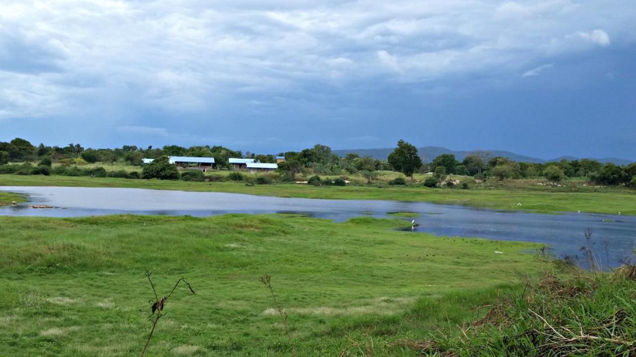 Rho Sigiriya Lake Edge Retreat Kibissa Zewnętrze zdjęcie