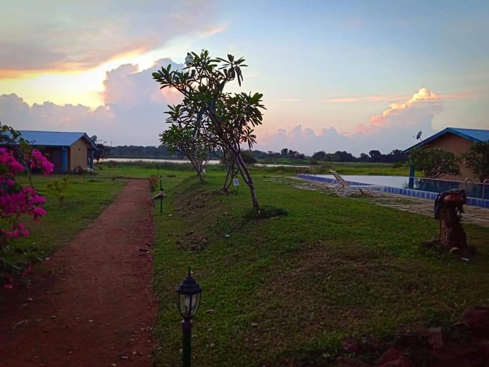 Rho Sigiriya Lake Edge Retreat Kibissa Zewnętrze zdjęcie