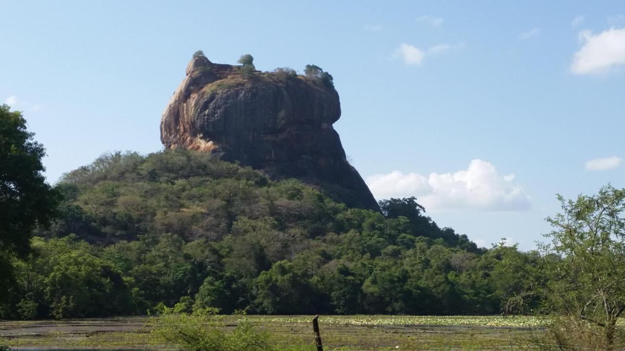 Rho Sigiriya Lake Edge Retreat Kibissa Zewnętrze zdjęcie