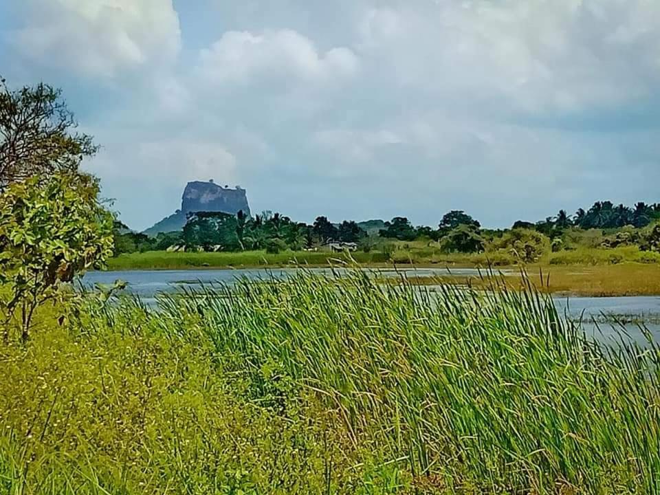 Rho Sigiriya Lake Edge Retreat Kibissa Zewnętrze zdjęcie