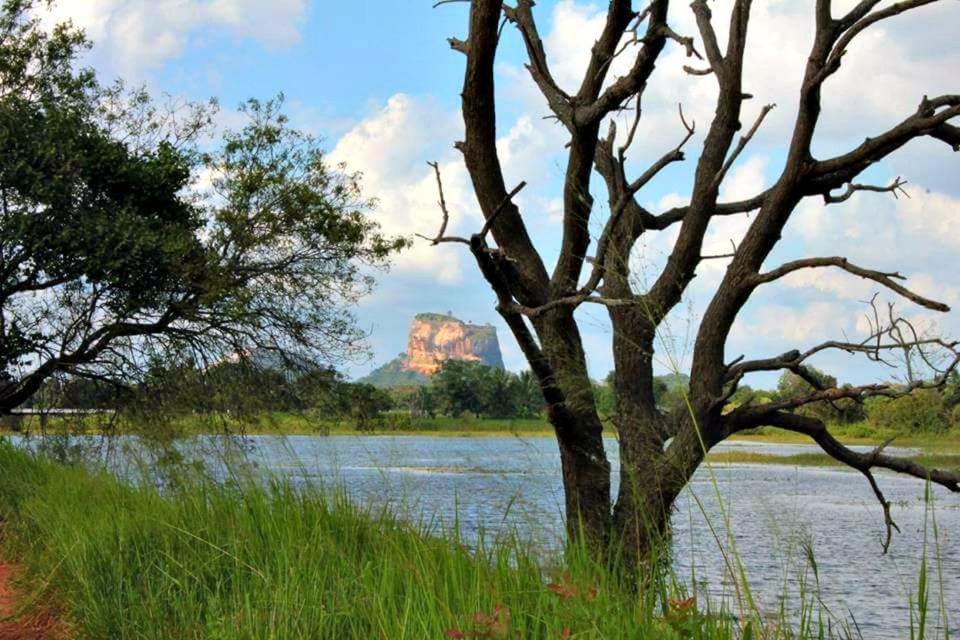 Rho Sigiriya Lake Edge Retreat Kibissa Zewnętrze zdjęcie