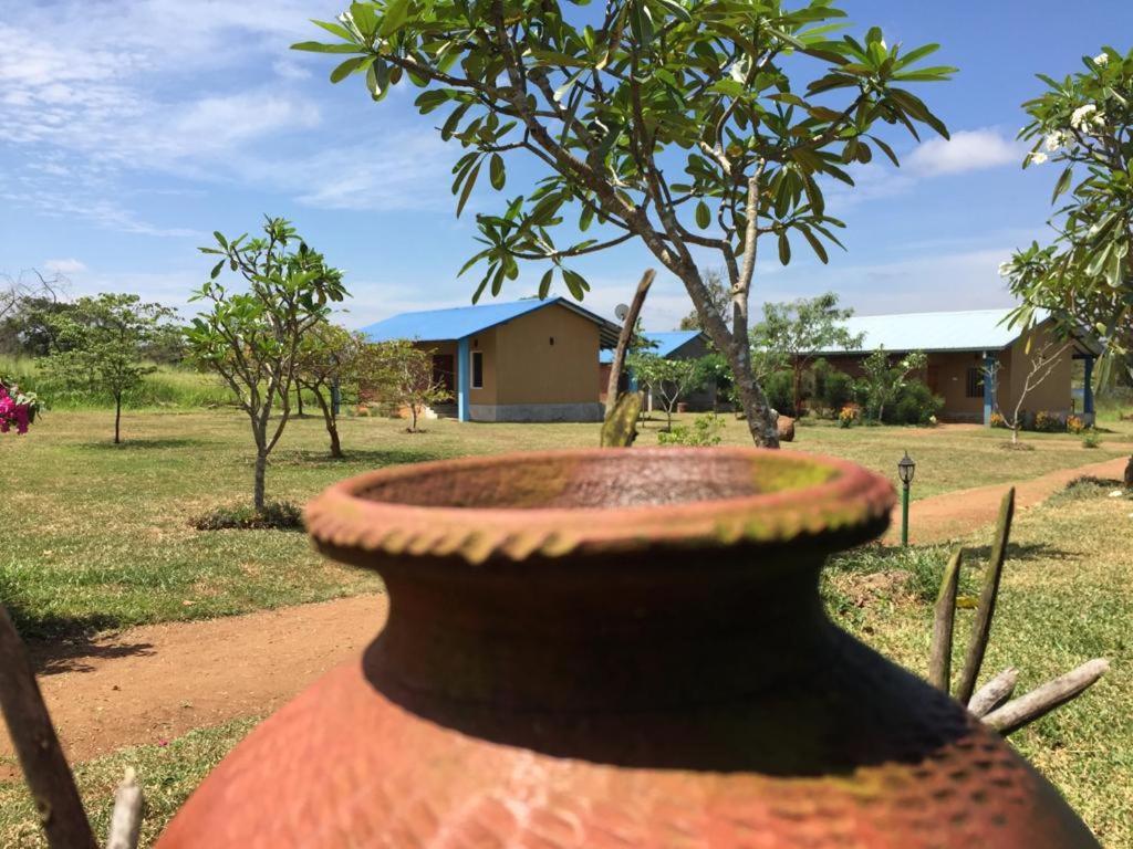 Rho Sigiriya Lake Edge Retreat Kibissa Zewnętrze zdjęcie